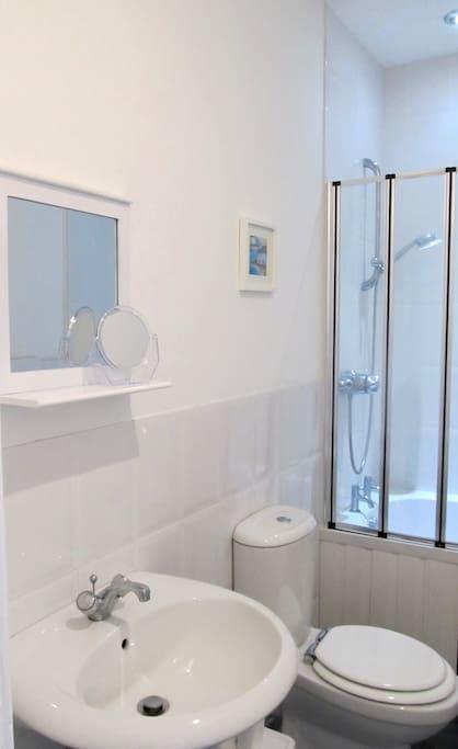 The Beatnik, Victorian Townhouse Apartment With Parking Plymouth Extérieur photo